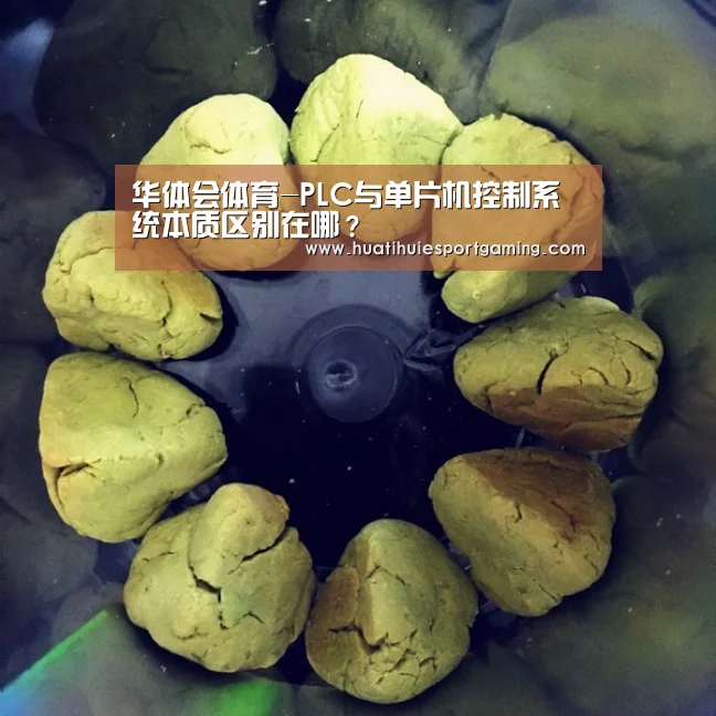 华体会体育-PLC与单片机控制系统本质区别在哪?(图2) 华体会体育