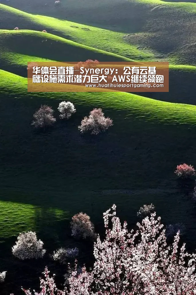 华体会直播-Synergy:公有云基础设施需求潜力巨大 AWS继续领跑市场(图1) 华体会直播