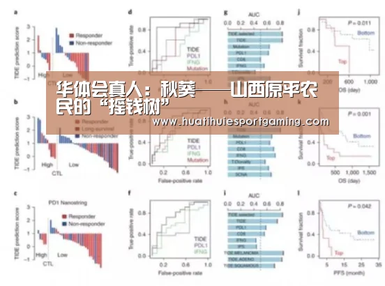华体会APP