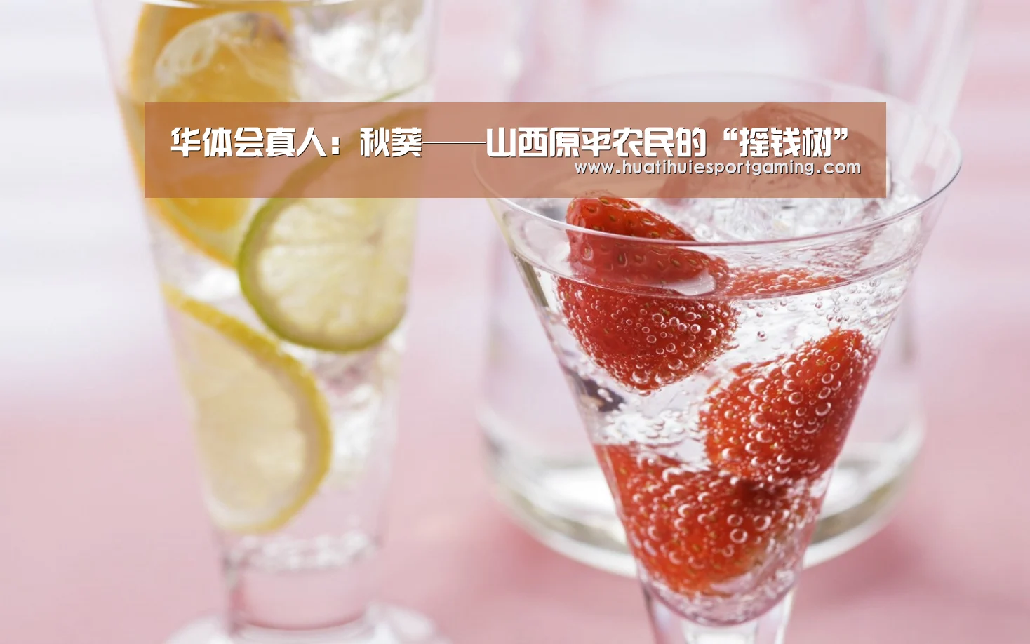 华体会真人