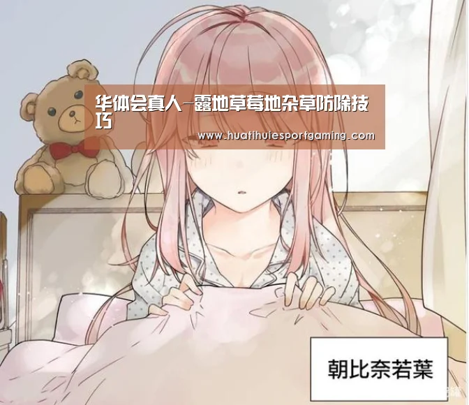 华体会真人-露地草莓地杂草防除技巧(图1) 华体会体育