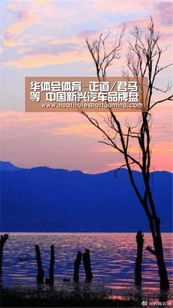华体会体育-正道/君马等 中国新兴汽车品牌盘点(图4) 华体会APP