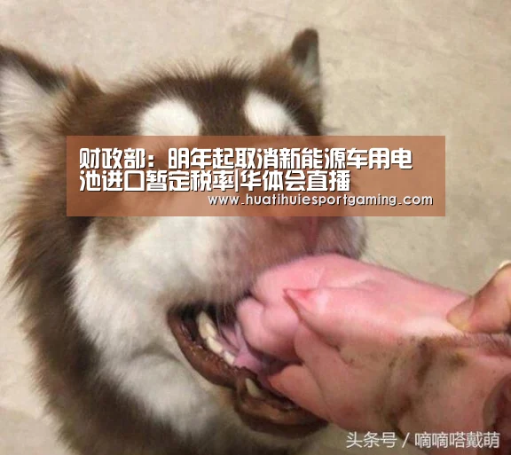 华体会真人