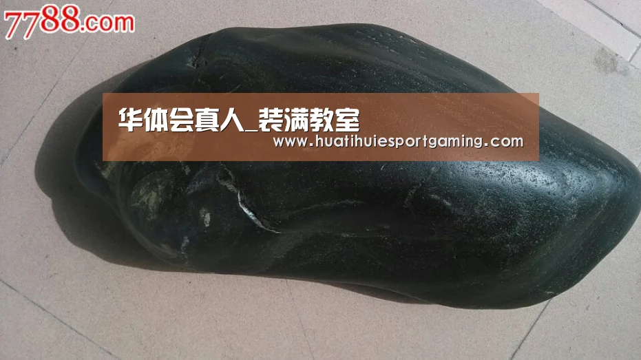 华体会直播
